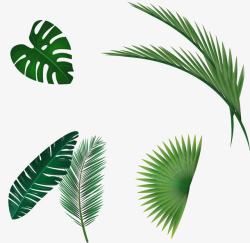 绿色热带植物手绘树叶高清图片