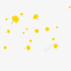 重阳节黄色菊花朵装饰背景免素材