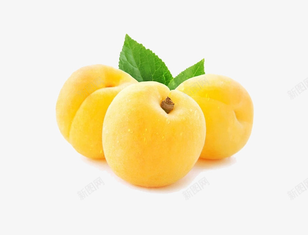黄色的杏子png免抠素材_88icon https://88icon.com PNG素材 杏子 水果 黄色