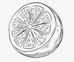 素描水果半个柠檬手绘无颜色水果素描蔬菜高清图片