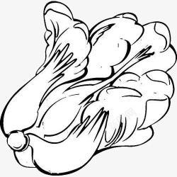 简笔画风格素材蔬菜白菜简笔画食物高清图片
