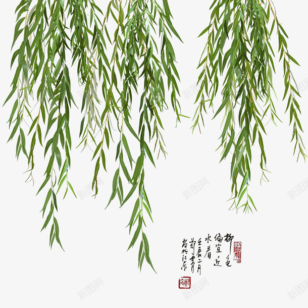 清明节水墨风柳叶柳枝psd免抠素材_88icon https://88icon.com 柳枝 水墨山水画 水墨风柳叶 清明节日 清明节水墨风柳叶柳枝 清明节海报 清明节踏青