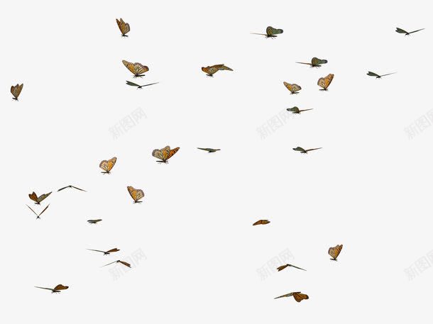 漫天飞舞的蝴蝶png免抠素材_88icon https://88icon.com 唯美 彩色翅膀 春天 春天背景 梦幻 森林系 漫天飞舞 翅膀 翩翩起舞 背景 花飘落 蝴蝶 蝴蝶飞舞 飞行动物 黄色蝴蝶 黄蝶