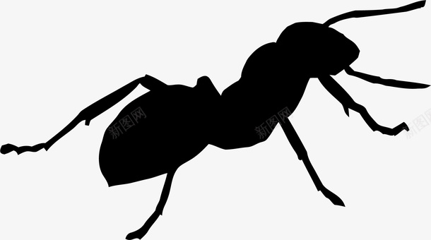 蚂蚁吮吸图标图标