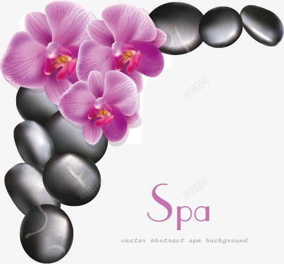 spa元素背景png免抠素材_88icon https://88icon.com SPA 兰花 底纹背景 底纹边框 按摩石 水珠 石头 精美蝴蝶兰 绿叶 美体 美容 背景底纹矢量素材 花卉 蝴蝶兰 鹅卵石