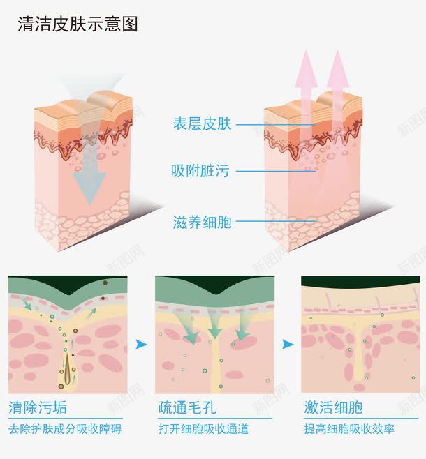 深度清洁皮肤示意图png免抠素材_88icon https://88icon.com 免抠图 卡通讲解图 效果图 清洁 皮肤 装饰图 装饰画