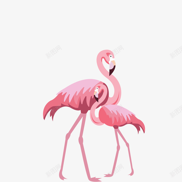 火烈鸟父女png免抠素材_88icon https://88icon.com PNG免抠图下载 动物 家庭 我的家人 温馨 火焰鸟 粉色 装饰