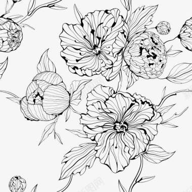 刺桐花线条手绘黑色花卉图标图标