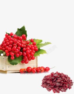 蔓越莓原料果子素材