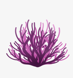 一株珊瑚海洋植物紫色珊瑚高清图片