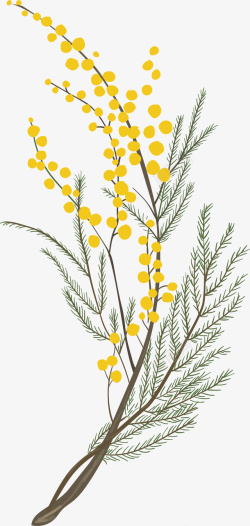 黄色美丽春季花枝素材