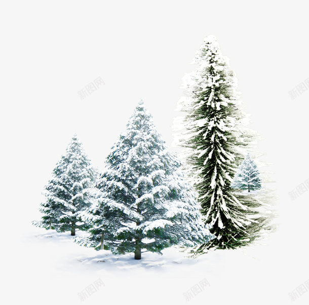 雪地里的松树组合png免抠素材_88icon https://88icon.com 冬 圣诞树 松树 雪地 雪花
