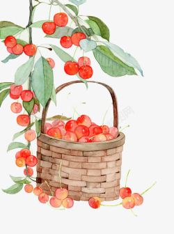 樱桃树枝手绘红色樱桃高清图片