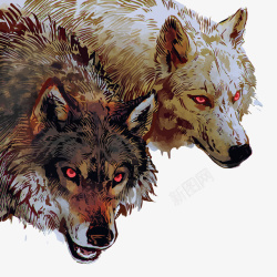 水彩狼手绘的水彩狼矢量图高清图片