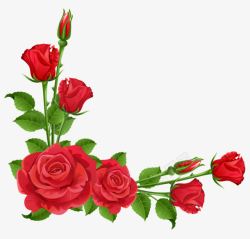 红色的花儿玫瑰花边框高清图片