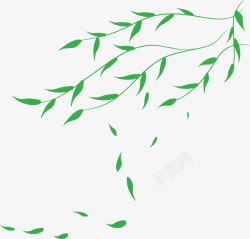 绿色柳树叶浮动的柳条矢量图高清图片