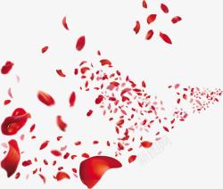红色春天飞舞花瓣玫瑰素材