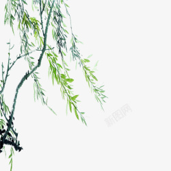 自然生长绿色手绘垂柳元素高清图片