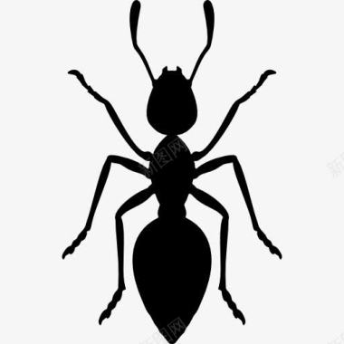 蚂蚁设计蚂蚁图标图标