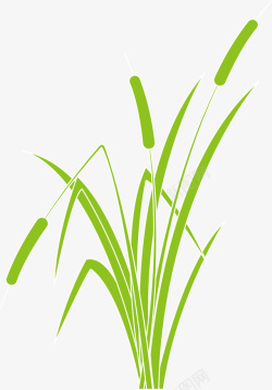 杂草绿色清新春季芦苇高清图片