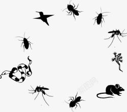 蚂蚁设计小虫子高清图片