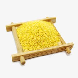 黄小米五谷杂粮系列小米黄米摄影高清图片