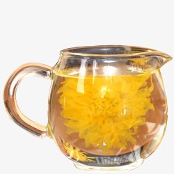 金丝菊泡制在透明茶水壶中的大朵盛开的高清图片