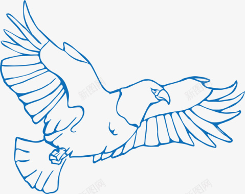 飞翔的鹦鹉手绘飞翔的老鹰矢量图图标图标