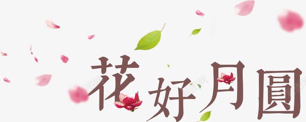 花瓣装饰的花好月圆艺术字png免抠素材_88icon https://88icon.com 中秋 中秋节 树叶 艺术字 节庆 节日 花好月圆 花朵 花瓣