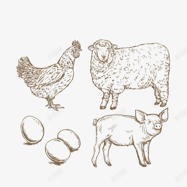 农场公鸡png免抠素材_88icon https://88icon.com 手绘 猪 绵羊 鸡蛋