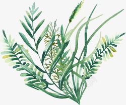 手绘装饰绿色叶子装饰素材