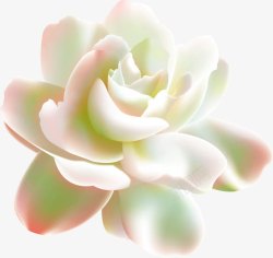 可爱白色渐变花朵素材