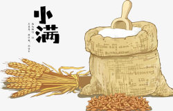 成熟麦子二十四节气小满麦穗粮袋高清图片
