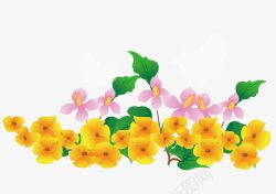 春天盛开的鲜艳的小黄花素材