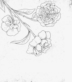 线描手绘花朵装饰矢量图素材