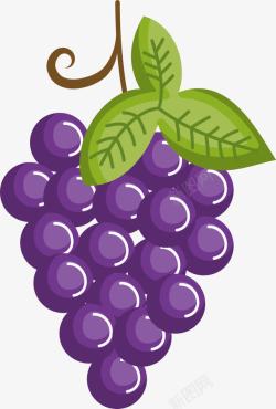 清新美味紫色卡通葡萄高清图片