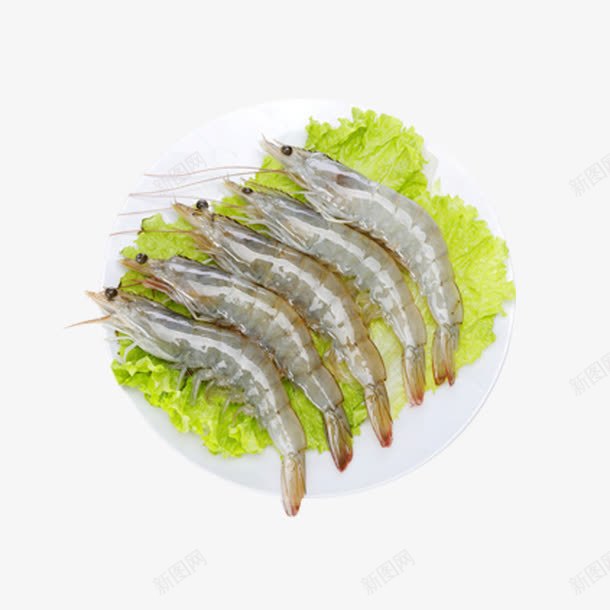 产品实物食物原料生菜冰虾png免抠素材_88icon https://88icon.com 产品实物 冰虾 大虾 新鲜食物 明虾 海产 海鲜 生虾 生鲜 食物 食物原料 餐饮美食