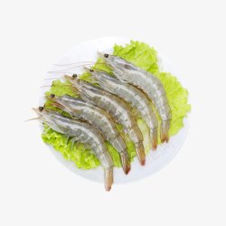 新鲜虾产品实物食物原料生菜冰虾高清图片