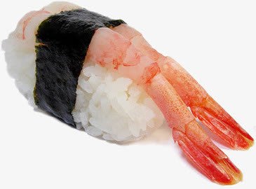寿司png免抠素材_88icon https://88icon.com 寿司图片 手卷 海苔 甜虾手握寿司 虾