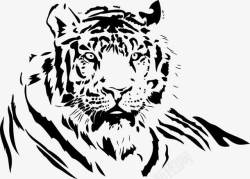 猫科动物素描线条老虎高清图片