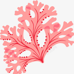 水生植物粉色水生海藻插画矢量图高清图片