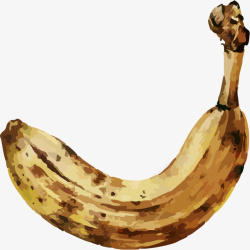 腐烂腐烂的香蕉矢量图高清图片