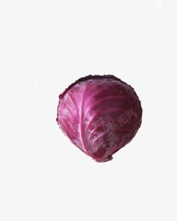 紫甘蓝有机蔬菜素材