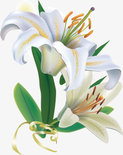 一只百合花手绘百合花白色的百合花矢量图高清图片