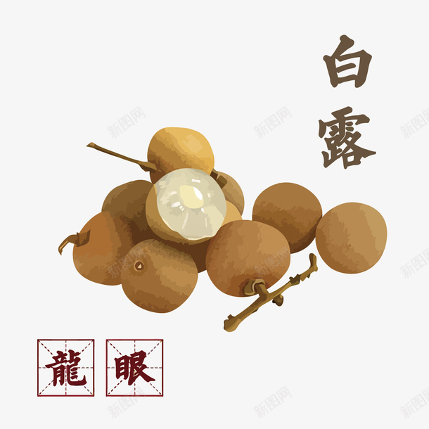 水果龙眼节气白露矢量图eps免抠素材_88icon https://88icon.com 二十四节气 卡通 手绘 白露免扣PNG图 白露矢量 节气 龙眼 矢量图