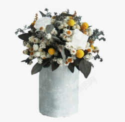 白色花瓶的清新室内植物素材