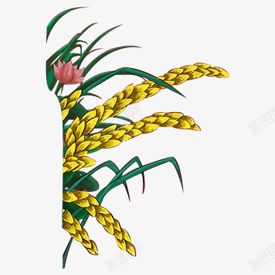 手绘插画植物水稻png免抠素材_88icon https://88icon.com 中国风 植物 水稻 装饰元素