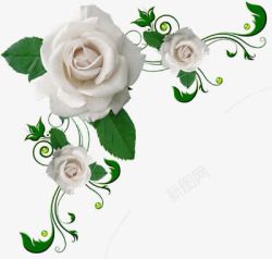 白色玫瑰花唯美边框素材