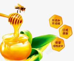 纯天然蜂蜜蜂蜜蜜蜂高清图片