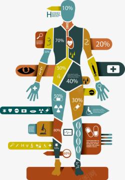 医学研究人体解剖信息图表高清图片